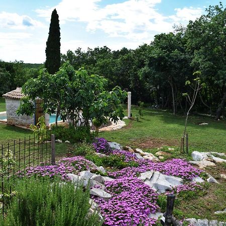 Cottage Al Merlo Olivo Buje Ngoại thất bức ảnh