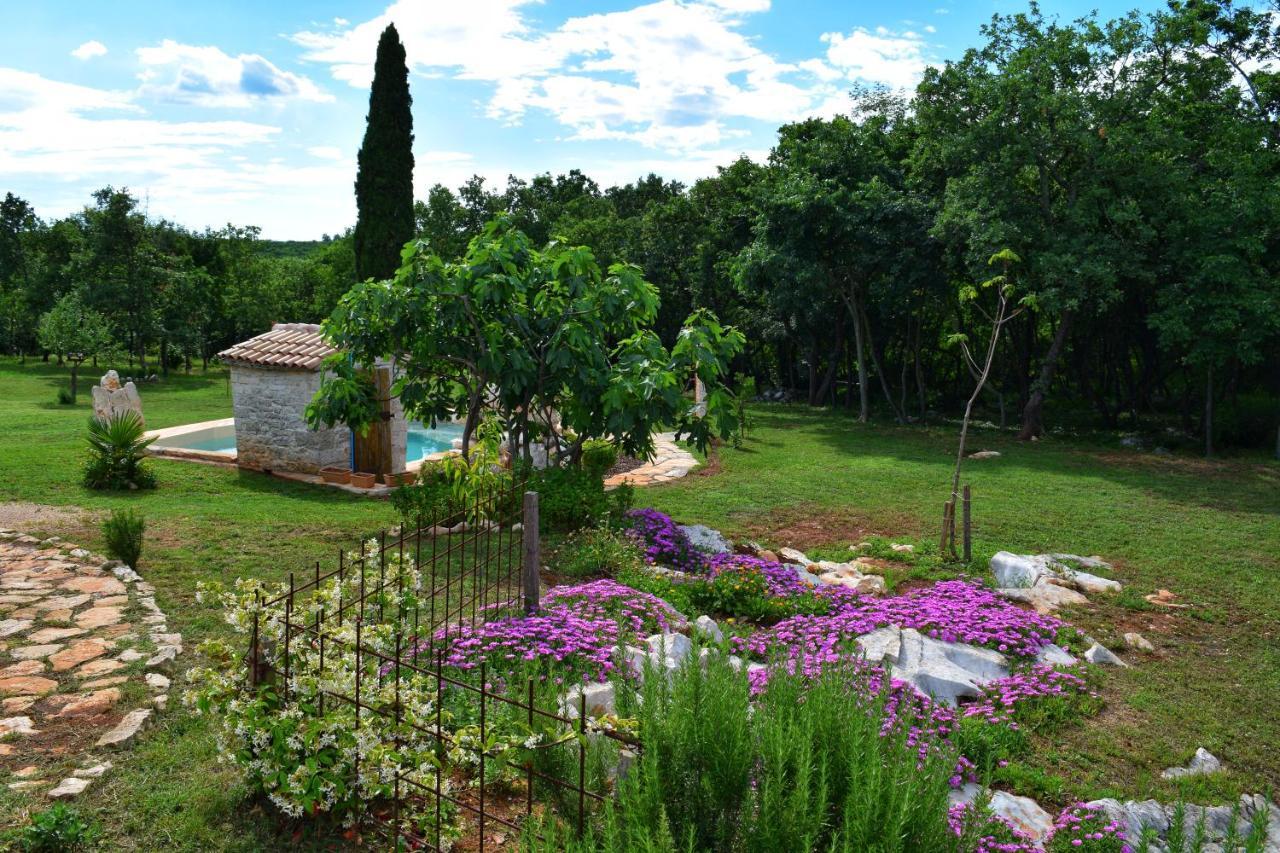 Cottage Al Merlo Olivo Buje Ngoại thất bức ảnh