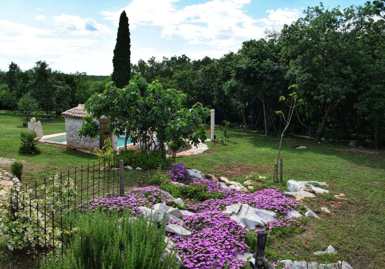 Cottage Al Merlo Olivo Buje Ngoại thất bức ảnh