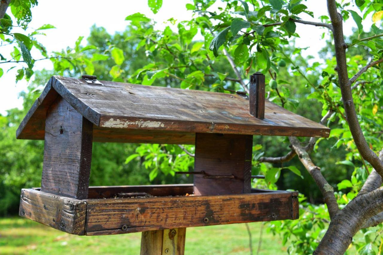 Cottage Al Merlo Olivo Buje Ngoại thất bức ảnh