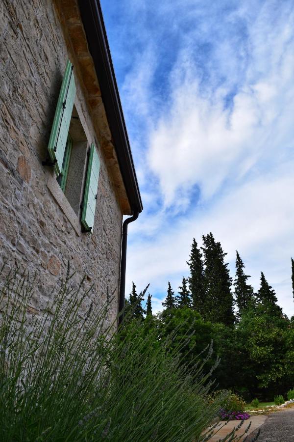 Cottage Al Merlo Olivo Buje Ngoại thất bức ảnh