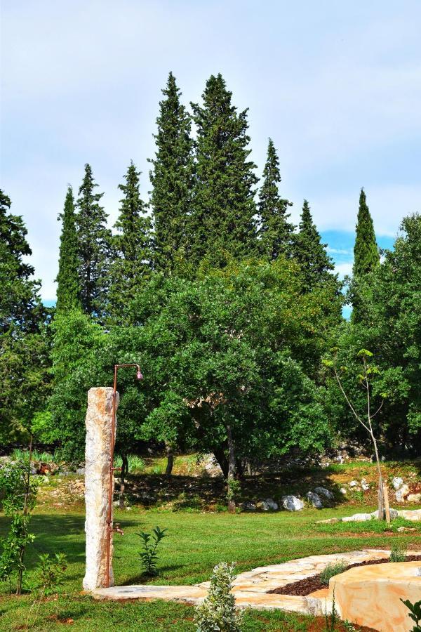 Cottage Al Merlo Olivo Buje Ngoại thất bức ảnh